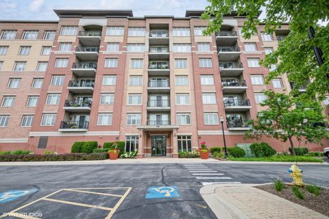 1199 E Port Clinton Road 504 Vernon Hills IL 60061