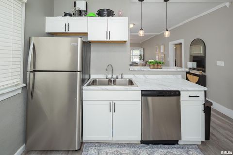 Tiny photo for 1037 22ND Street, Rock Island, IL 61201 (MLS # QC4262976)