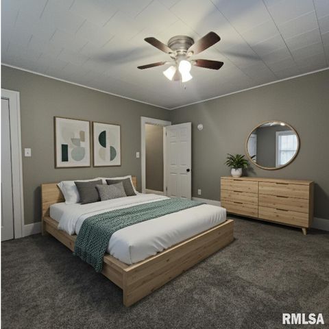 Tiny photo for 1037 22ND Street, Rock Island, IL 61201 (MLS # QC4262976)