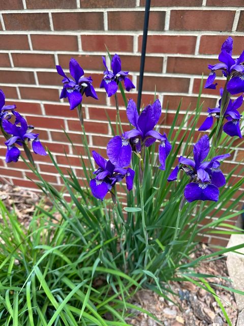 Tiny photo for 273 Bridlewood Lane, Valparaiso, IN 46385 (MLS # 12617129)