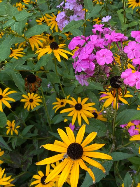 Tiny photo for 273 Bridlewood Lane, Valparaiso, IN 46385 (MLS # 12617129)