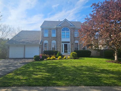 791 Williams Way Vernon Hills IL 60061