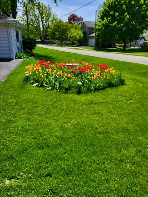 Tiny photo for 804 Elm Street, Maple Park, IL 60151 (MLS # 12409149)
