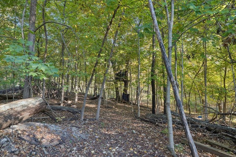 Tiny photo for 1156 Green Street, New Lenox, IL 60451 (MLS # 12793218)