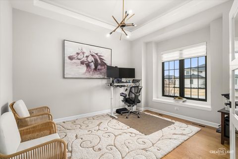 Tiny photo for 4207 Carpenter Road, Naperville, IL 60564 (MLS # 12572370)