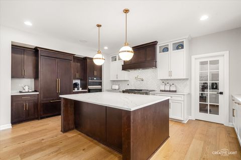 Tiny photo for 4207 Carpenter Road, Naperville, IL 60564 (MLS # 12572370)