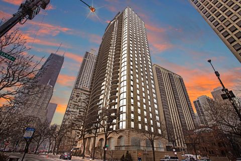 1040 N Lake Shore Drive 29B Chicago IL 60611