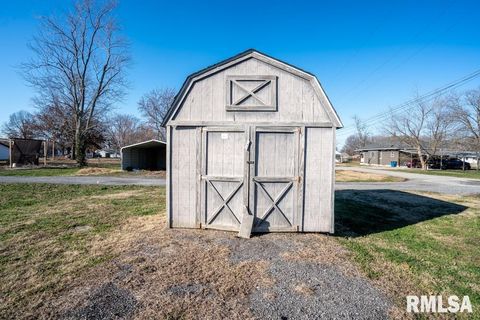 Tiny photo for 803 S Cockrum Street, Sesser, IL 62884 (MLS # QC4269969)