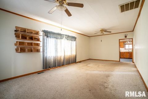 Tiny photo for 803 S Cockrum Street, Sesser, IL 62884 (MLS # QC4269969)