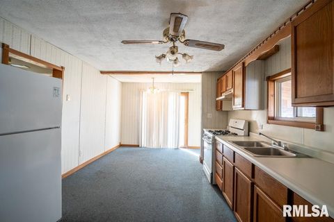 Tiny photo for 803 S Cockrum Street, Sesser, IL 62884 (MLS # QC4269969)