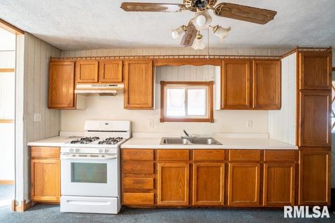 Tiny photo for 803 S Cockrum Street, Sesser, IL 62884 (MLS # QC4269969)