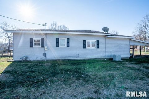 Tiny photo for 803 S Cockrum Street, Sesser, IL 62884 (MLS # QC4269969)