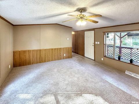 Tiny photo for 200 MADISON Street, Carterville, IL 62918 (MLS # QC4269376)