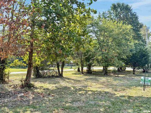 Tiny photo for 200 MADISON Street, Carterville, IL 62918 (MLS # QC4269376)