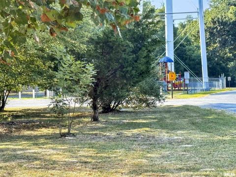 Tiny photo for 200 MADISON Street, Carterville, IL 62918 (MLS # QC4269376)