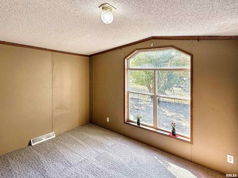 Tiny photo for 200 MADISON Street, Carterville, IL 62918 (MLS # QC4269376)