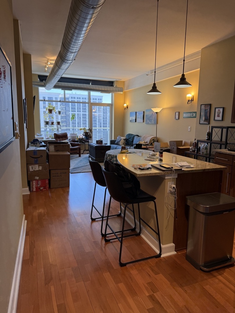 1305 S Michigan Avenue 1413