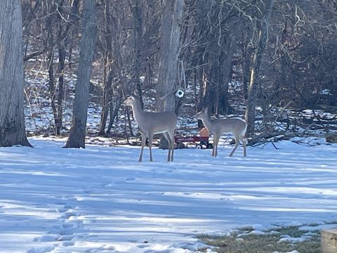 Tiny photo for 701 N Carriage Hill Road, Island Lake, IL 60042 (MLS # 12588420)