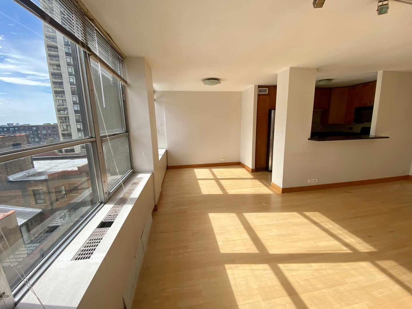 655 W IRVING PARK Road 903
