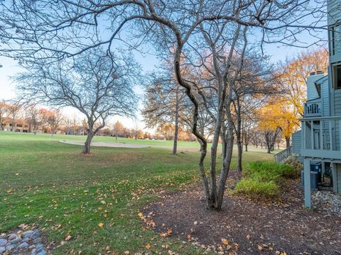 Tiny photo for 245 Timber Ridge Lane #245, Lake Barrington, IL 60010 (MLS # 12516266)