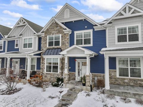 249 Hoffmann Drive Buffalo Grove IL 60089