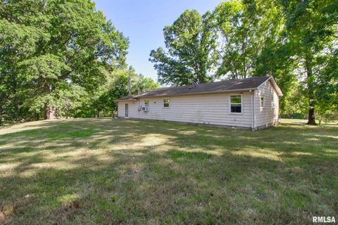 Tiny photo for 16042 Ralls Grove Road, Creal Springs, IL 62922 (MLS # QC4267356)