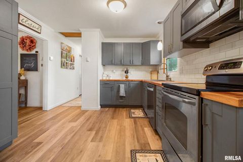 Tiny photo for 16042 Ralls Grove Road, Creal Springs, IL 62922 (MLS # QC4267356)