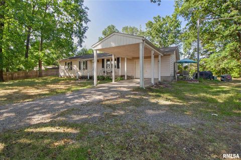 Tiny photo for 16042 Ralls Grove Road, Creal Springs, IL 62922 (MLS # QC4267356)