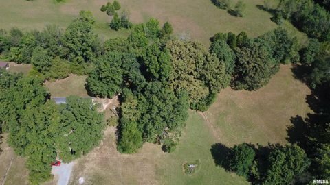 Tiny photo for 16042 Ralls Grove Road, Creal Springs, IL 62922 (MLS # QC4267356)