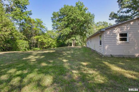 Tiny photo for 16042 Ralls Grove Road, Creal Springs, IL 62922 (MLS # QC4267356)