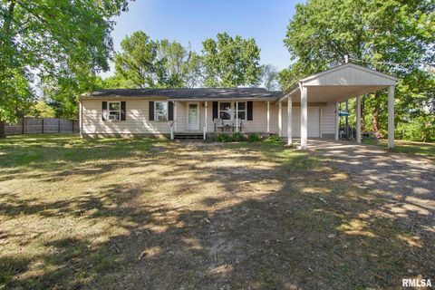 Tiny photo for 16042 Ralls Grove Road, Creal Springs, IL 62922 (MLS # QC4267356)