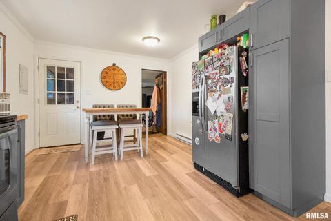 Tiny photo for 16042 Ralls Grove Road, Creal Springs, IL 62922 (MLS # QC4267356)