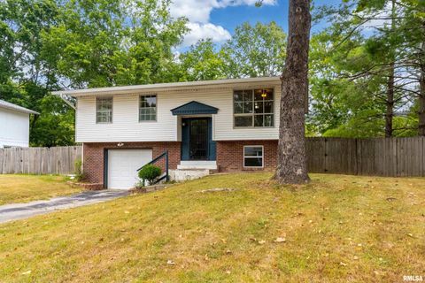 Tiny photo for 309 S Plover Drive, Carbondale, IL 62901 (MLS # EB459673)