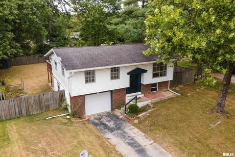 Tiny photo for 309 S Plover Drive, Carbondale, IL 62901 (MLS # EB459673)