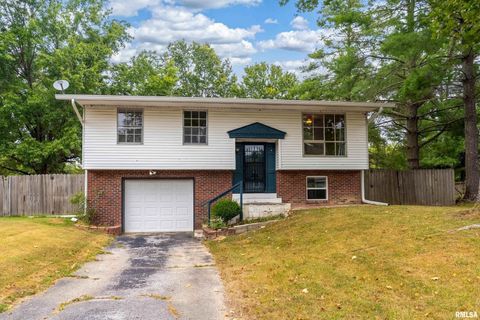 Photo of 309 S Plover Drive, Carbondale, IL 62901 (MLS # EB459673)