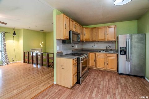 Tiny photo for 309 S Plover Drive, Carbondale, IL 62901 (MLS # EB459673)