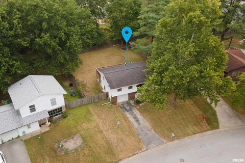 Tiny photo for 309 S Plover Drive, Carbondale, IL 62901 (MLS # EB459673)