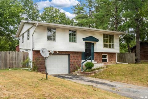 Tiny photo for 309 S Plover Drive, Carbondale, IL 62901 (MLS # EB459673)