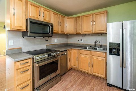 Tiny photo for 309 S Plover Drive, Carbondale, IL 62901 (MLS # EB459673)