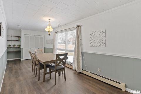 Tiny photo for 301 N WASHINGTON Street, Atkinson, IL 61235 (MLS # QC4270015)