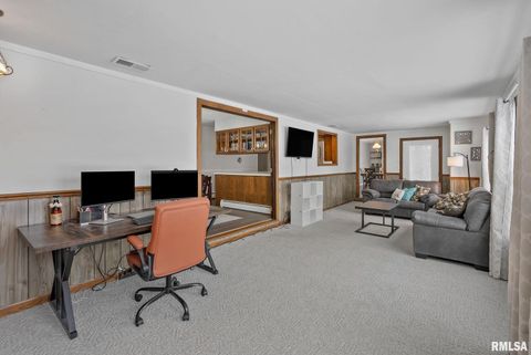 Tiny photo for 301 N WASHINGTON Street, Atkinson, IL 61235 (MLS # QC4270015)