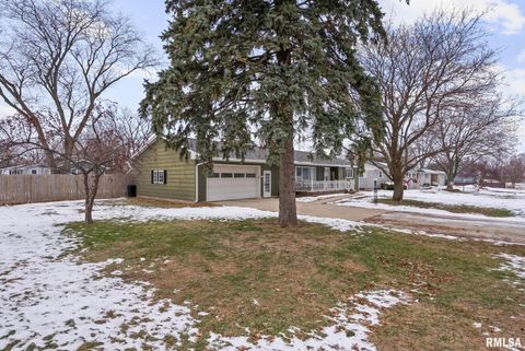 Tiny photo for 301 N WASHINGTON Street, Atkinson, IL 61235 (MLS # QC4270015)
