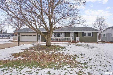 Photo of 301 N WASHINGTON Street, Atkinson, IL 61235 (MLS # QC4270015)