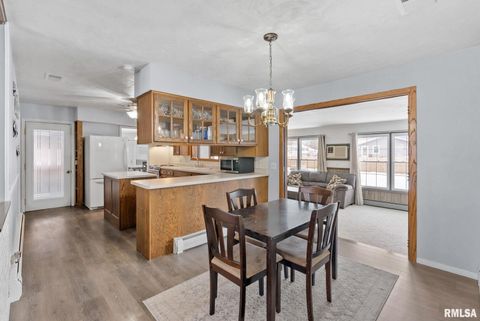 Tiny photo for 301 N WASHINGTON Street, Atkinson, IL 61235 (MLS # QC4270015)