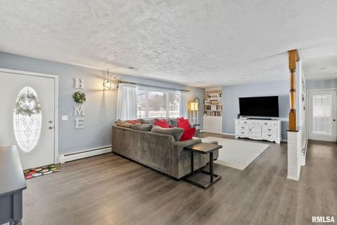 Tiny photo for 301 N WASHINGTON Street, Atkinson, IL 61235 (MLS # QC4270015)