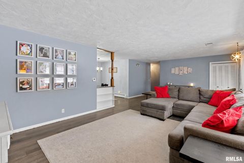 Tiny photo for 301 N WASHINGTON Street, Atkinson, IL 61235 (MLS # QC4270015)