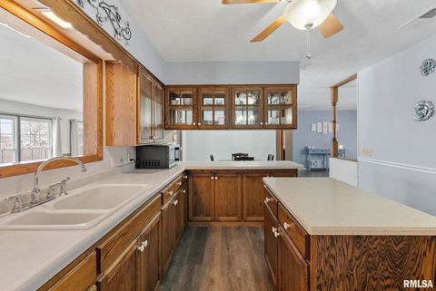 Tiny photo for 301 N WASHINGTON Street, Atkinson, IL 61235 (MLS # QC4270015)