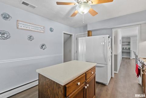 Tiny photo for 301 N WASHINGTON Street, Atkinson, IL 61235 (MLS # QC4270015)