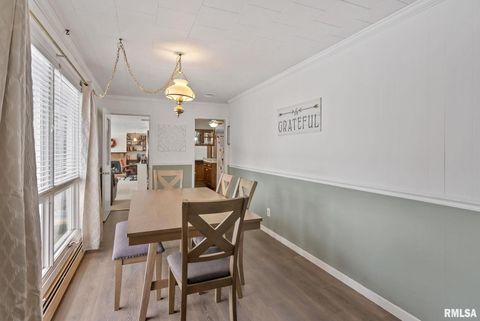 Tiny photo for 301 N WASHINGTON Street, Atkinson, IL 61235 (MLS # QC4270015)