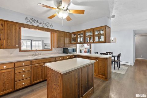 Tiny photo for 301 N WASHINGTON Street, Atkinson, IL 61235 (MLS # QC4270015)